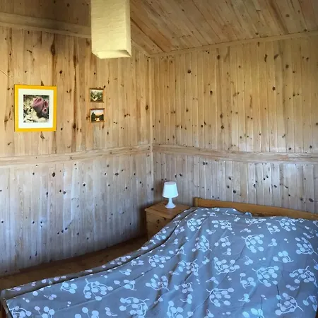 Domki Green Grzybowo Grzybowo (West Pomeranian)