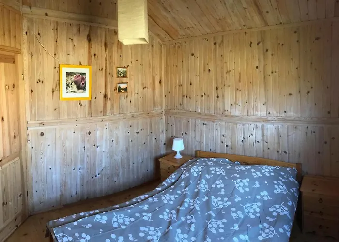 Domki Green Grzybowo Grzybowo (West Pomeranian)